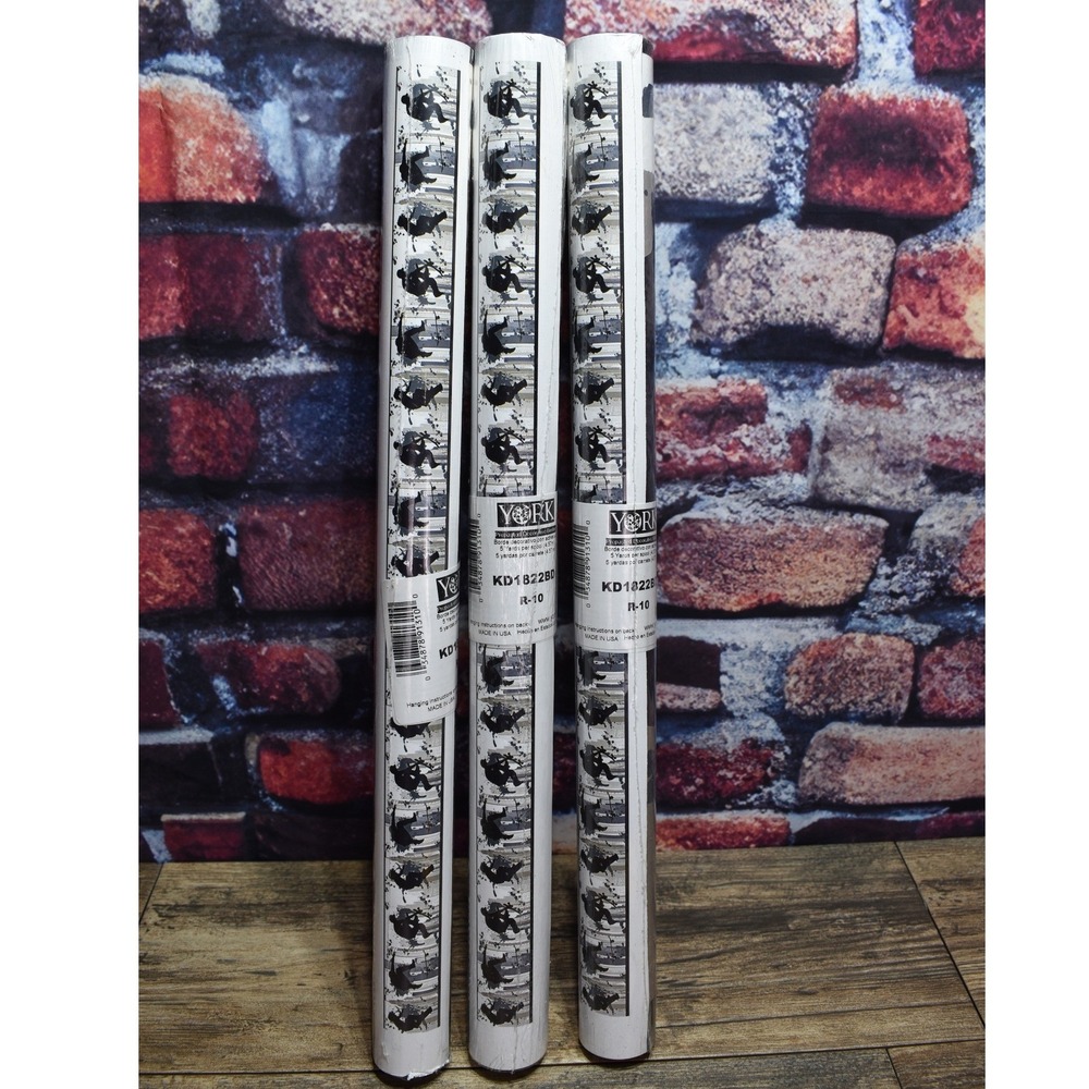 York Wallcoverings Skateboarder Wallpaper Border Prepasted 3 Rolls KD1822BD R-10